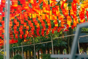 Special Private Hanoi: Rainbow Slide, Animals & Train Street