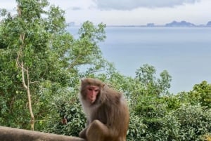 Åndelig reise i Da Nang: Linh Ung og Marble Mountains
