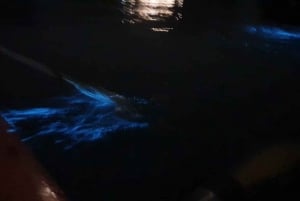 Baia di Lan Ha: tramonto e kayak notturno alla scoperta del plancton bioluminescente