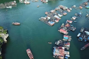 Cat Ba: Puesta de Sol en la Bahía de Lan Ha con Kayak y Fiesta al Atardecer