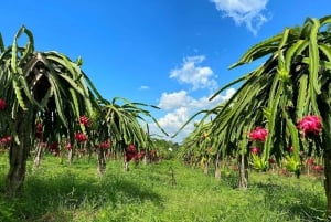 Ta Cu berg, Liggende Boeddha, Phan Thiet stad, Cham toren