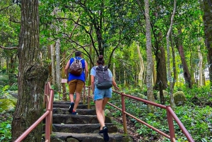 Ta Cu berg, Liggende Boeddha, Phan Thiet stad, Cham toren