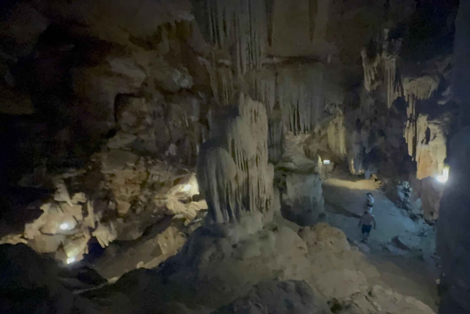Tam Coc-båt, Bích Động-pagoden, Thung Nham-fågelpark