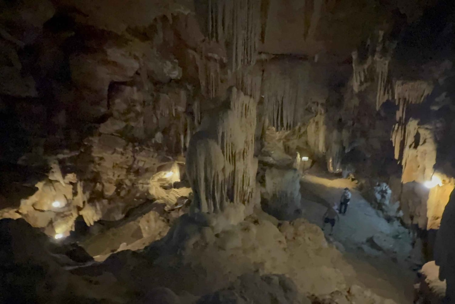 Tam Coc-båt, Bích Động-pagoden, Thung Nham-fågelpark