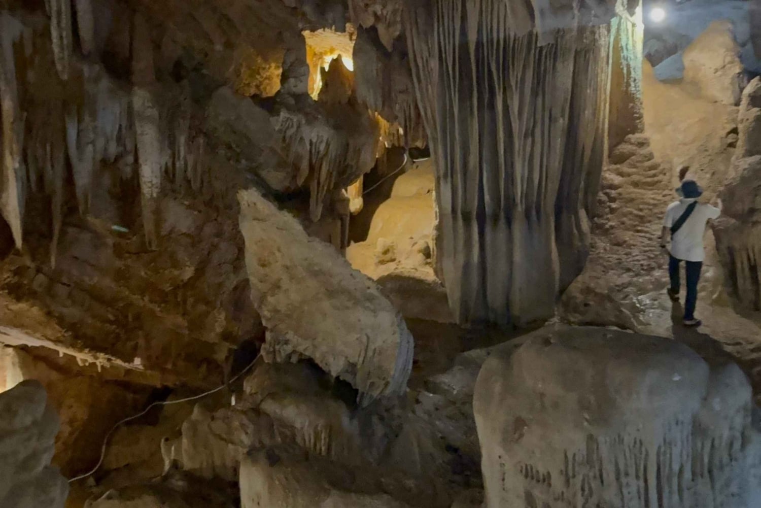 Tam Coc-båt, Bích Động-pagoden, Thung Nham-fågelpark