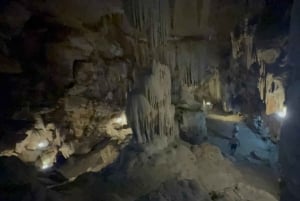 Tam Coc-båt, Bích Động-pagoden, Thung Nham-fågelpark