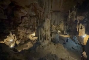 Tam Coc-båt, Bích Động-pagoden, Thung Nham-fågelpark