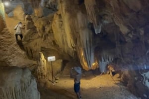 Tam Coc-båt, Bích Động-pagoden, Thung Nham-fågelpark