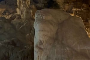 Tam Coc-båt, Bích Động-pagoden, Thung Nham-fågelpark