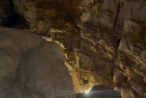 Tam Coc-båt, Bích Động-pagoden, Thung Nham-fågelpark