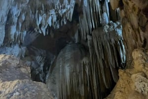 Tam Coc-båt, Bích Động-pagoden, Thung Nham-fågelpark