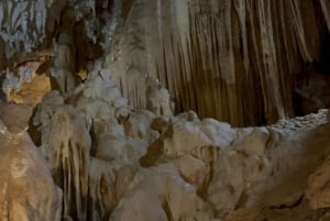 Tam Coc-båt, Bích Động-pagoden, Thung Nham-fågelpark