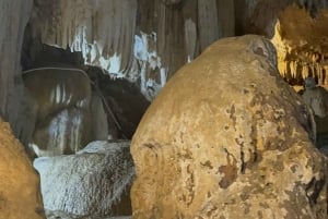 Tam Coc-båt, Bích Động-pagoden, Thung Nham-fågelpark