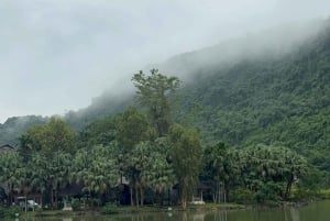 Tam Coc-båt, Bích Động-pagoden, Thung Nham-fågelpark