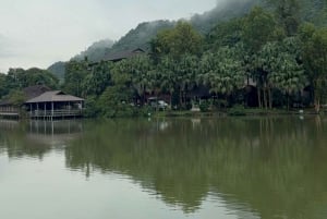 Tam Coc-båt, Bích Động-pagoden, Thung Nham-fågelpark