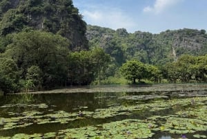Tam Coc-båt, Bích Động-pagoden, Thung Nham-fågelpark