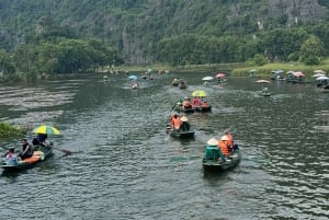 Tam Coc-båt, Bích Động-pagoden, Thung Nham-fågelpark