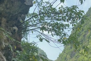 Tam Coc-båt, Bích Động-pagoden, Thung Nham-fågelpark