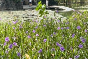 Tam Coc-båt, Bích Động-pagoden, Thung Nham-fågelpark