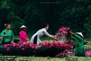 Tam Coc-båt, Bích Động-pagoden, Thung Nham-fågelpark