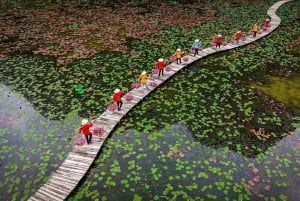Tam Coc-båt, Bích Động-pagoden, Thung Nham-fågelpark
