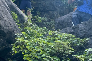 Tam Coc: visita ao museu e passeio de barco no vale de Dundj com bebida