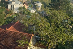 Z Hanoi: wycieczka 1-dniowa do Tam Dao z Hunting Cloud