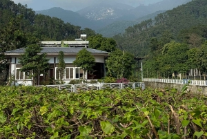 Z Hanoi: wycieczka 1-dniowa do Tam Dao z Hunting Cloud