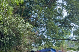 Z Hanoi: wycieczka 1-dniowa do Tam Dao z Hunting Cloud