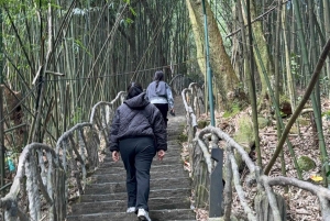 Z Hanoi: wycieczka 1-dniowa do Tam Dao z Hunting Cloud