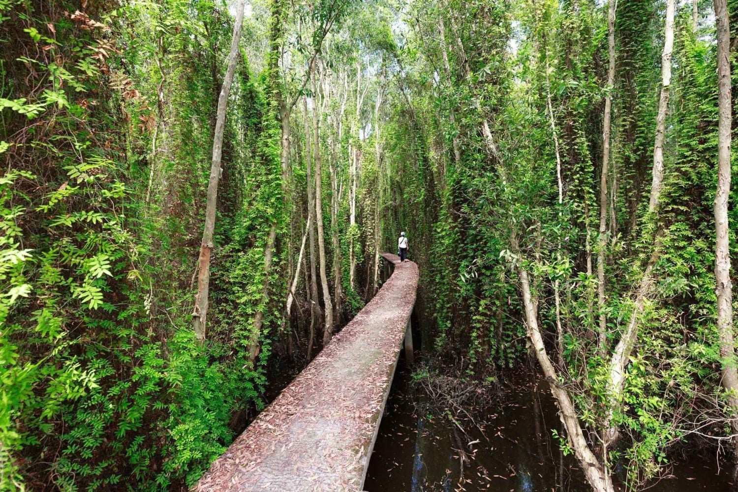 Плавучая деревня Тан-Лап: приключения на природе, без шопинга