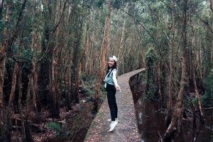 Плавучая деревня Тан-Лап: приключения на природе, без шопинга