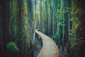 Плавучая деревня Тан-Лап: приключения на природе, без шопинга