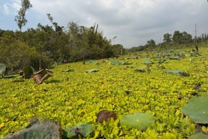 Плавучая деревня Тан-Лап: приключения на природе, без шопинга