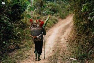 Thanh Hóa: PuLuong Surprising Cave Tour and Cooking Class
