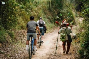 Thanh Hóa: PuLuong Surprising Cave Tour and Cooking Class