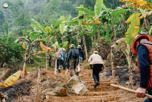 Thanh Hóa: PuLuong Surprising Cave Tour and Cooking Class