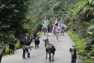 El mejor crucero nocturno Visita la bahía de Lan Ha, el pueblo de Viet Hai