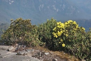 The Ky Quan San Summit: 2-Day Trekker's Journey to 3,046m