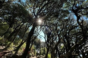 The Ky Quan San Summit: 2-Day Trekker's Journey to 3,046m