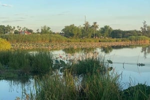A alma de Hoi An: mercado matinal e experiência de café