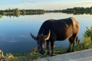 A alma de Hoi An: mercado matinal e experiência de café