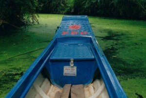 Can Tho: Das unberührte Naturreservat & das Leben am Mekong