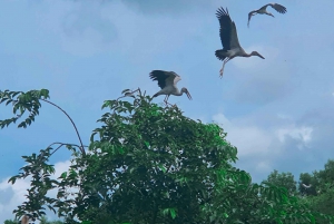 Can Tho: Das unberührte Naturreservat & das Leben am Mekong