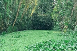 Can Tho: Excursão pelas maravilhas selvagens do Mekong para amantes da natureza