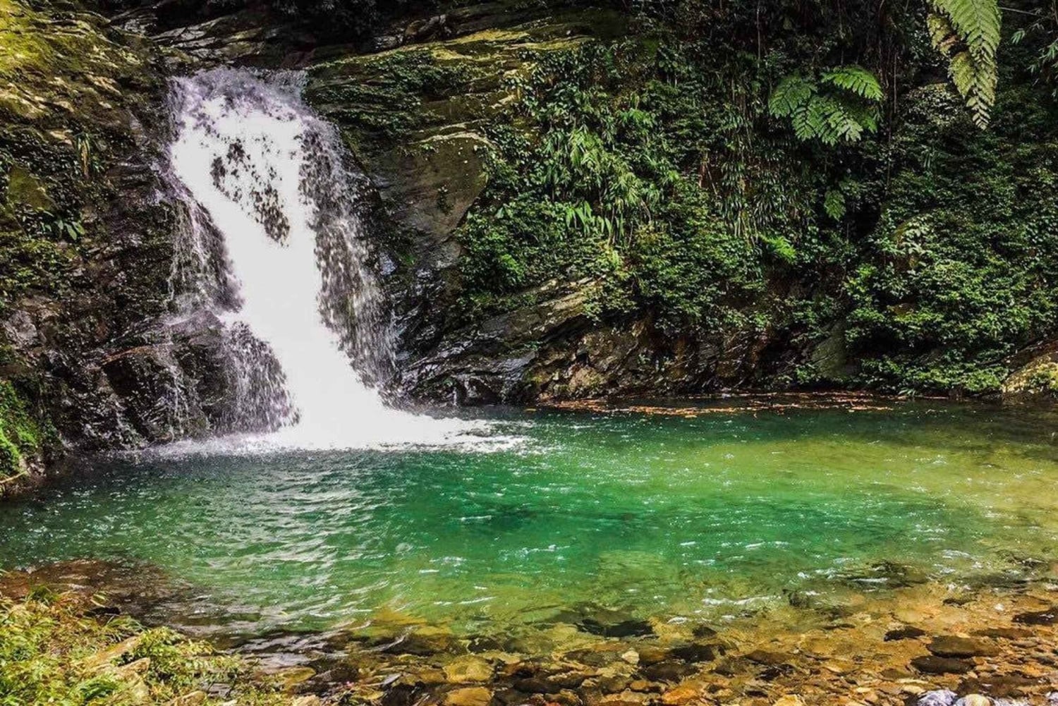 TOUR TREKKING HUE - BACH MA NATIONAL PARK DAILY
