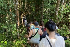 TOUR TREKKING HUE - BACH MA NATIONAL PARK DAILY