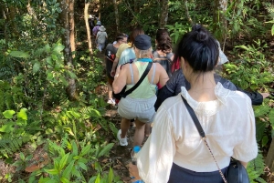 TOUR TREKKING HUE - BACH MA NATIONAL PARK DAILY