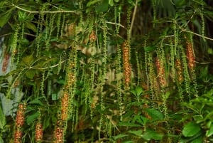 Hanoi Food Tour: Traditional Family Meal Experience in Villa