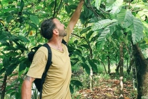 Can Tho : Marché flottant de Cai Rang, ferme de cacao et canal caché